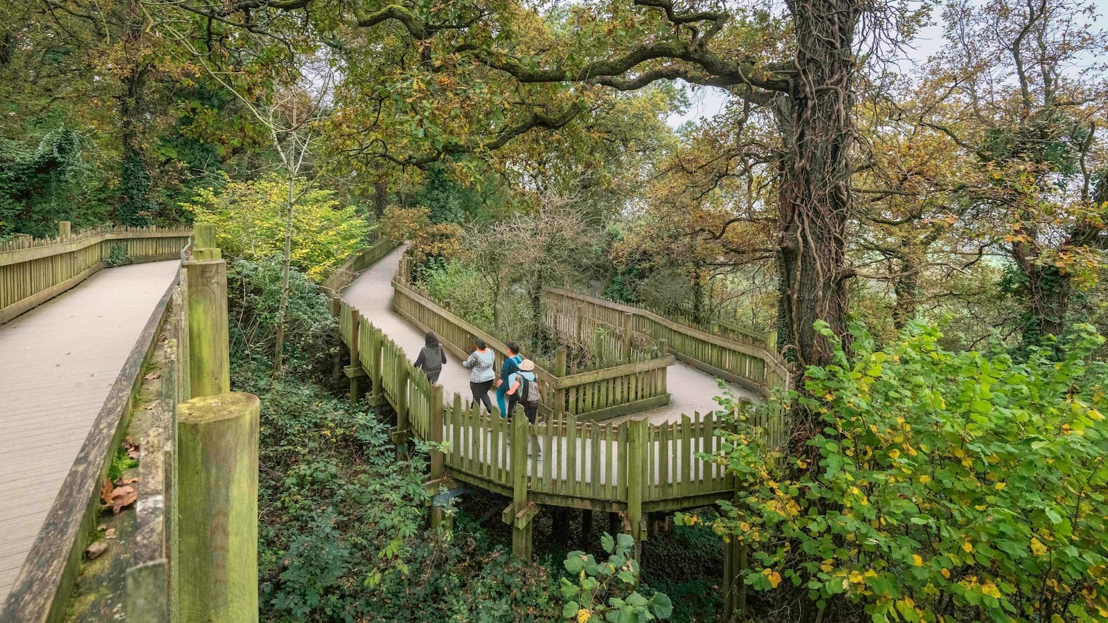 A winding wooden treetop walkway with people on it in the distance