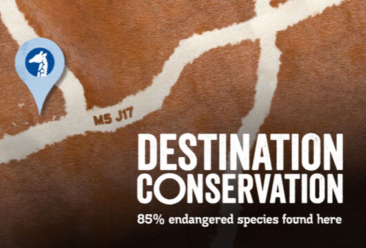 A close up of a giraffe's patterned fur with the words 'Destination Conservation'