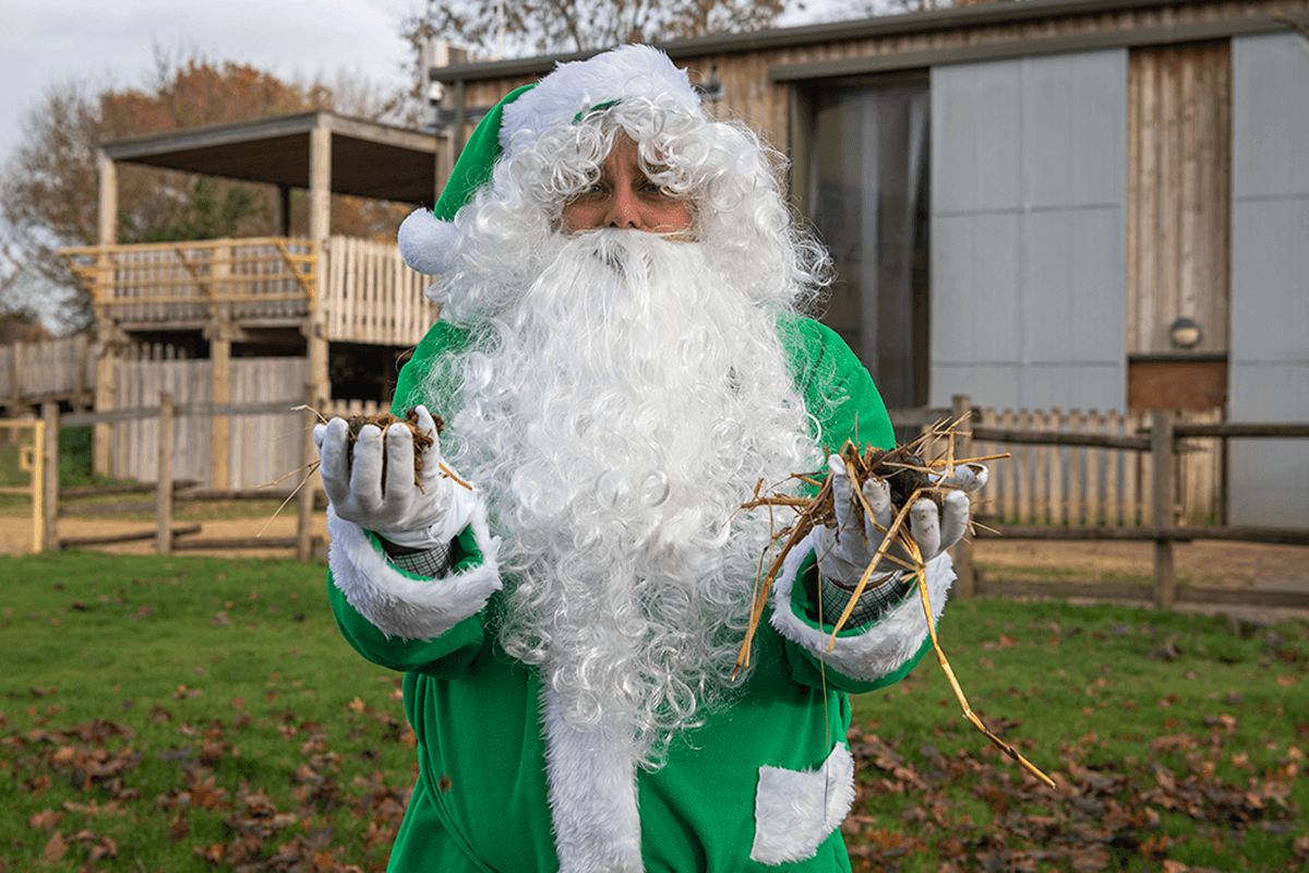 Santa stands in front of the camera, dressed in a green suit and holding piles of animal poo in his gloved hands