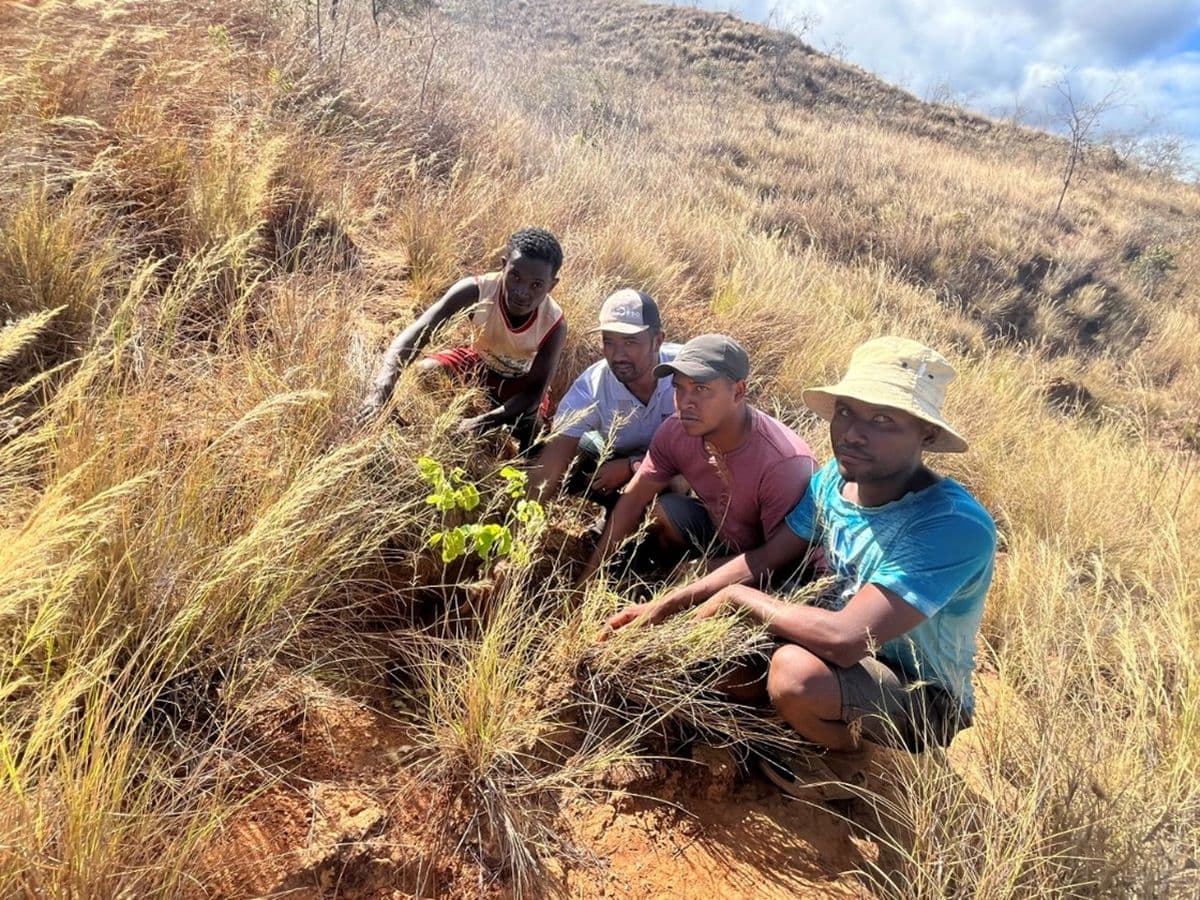 A group of people sitting in a field with freshly planted trees.