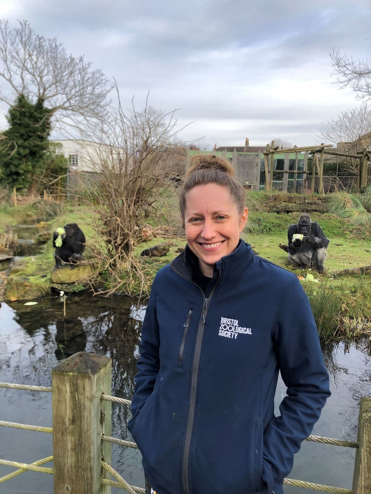 A woman stood in front of two western lowland gorillas