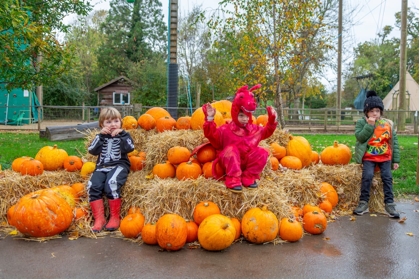 Three kids in halloween fancy dress sitting on hay bales surrounded by pumpkins