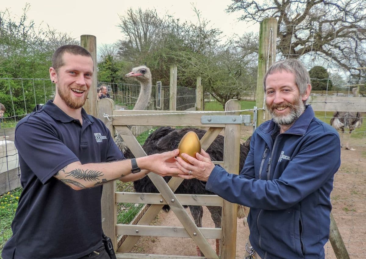 Two people hold a golden egg between them as an ostrich looks on behind them
