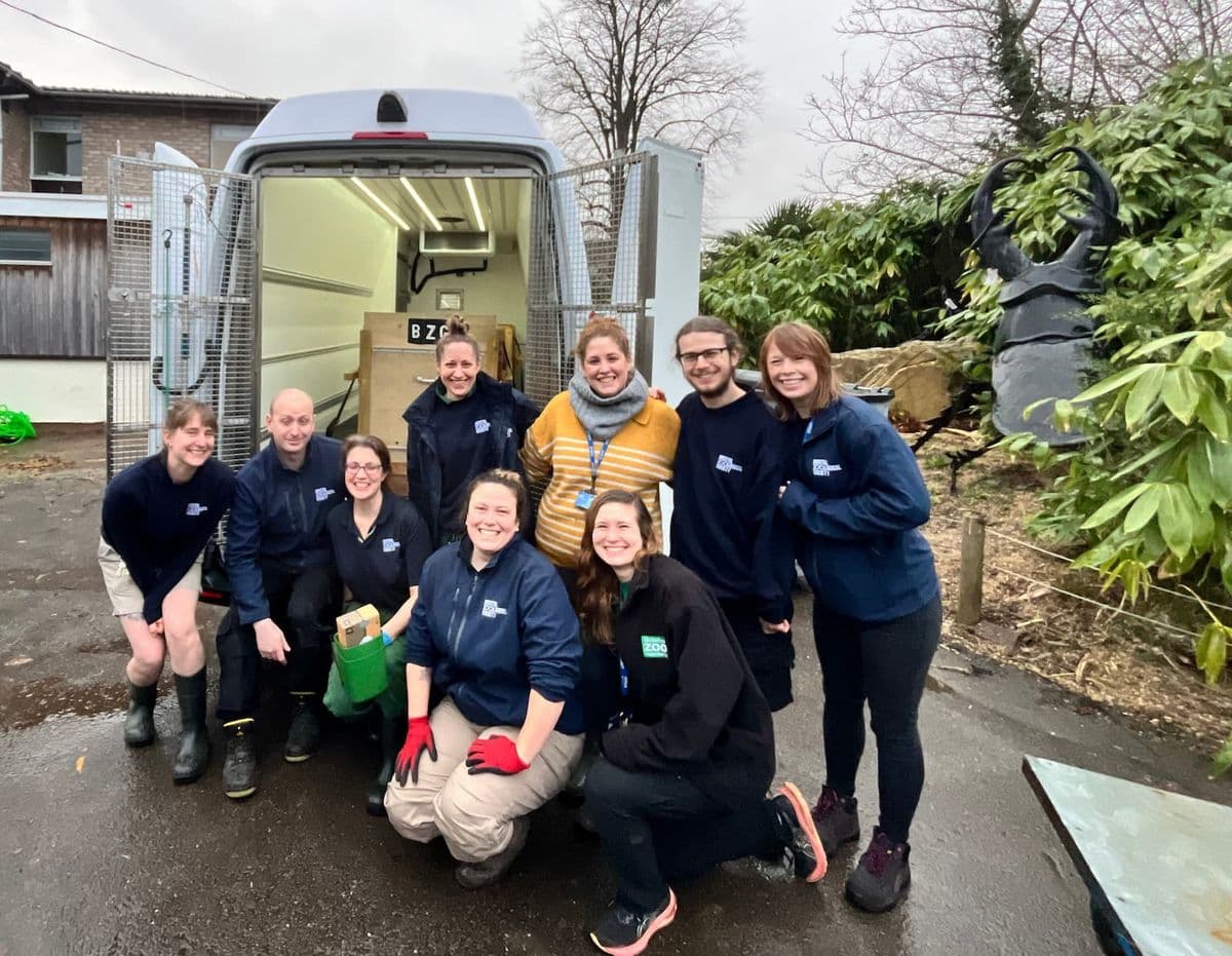 A group of zoo staff crouched in front of the open back doors of a van, where a crate sits inside