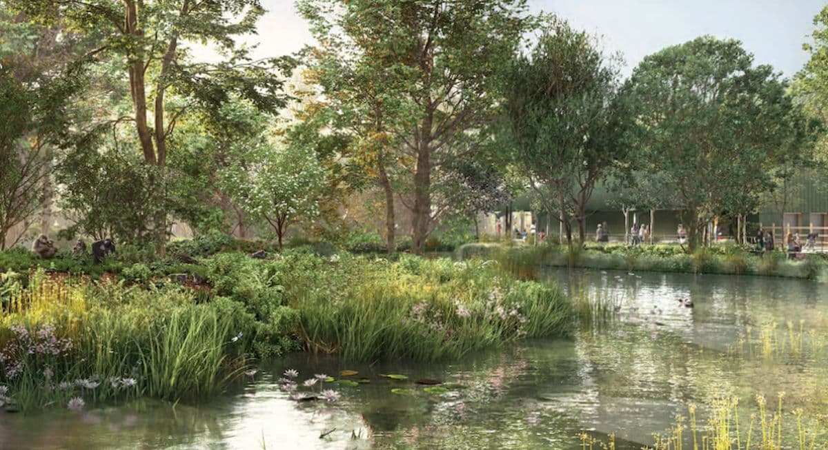 A CGI image of a gorilla habitat with large trees and a moat ringing the outside