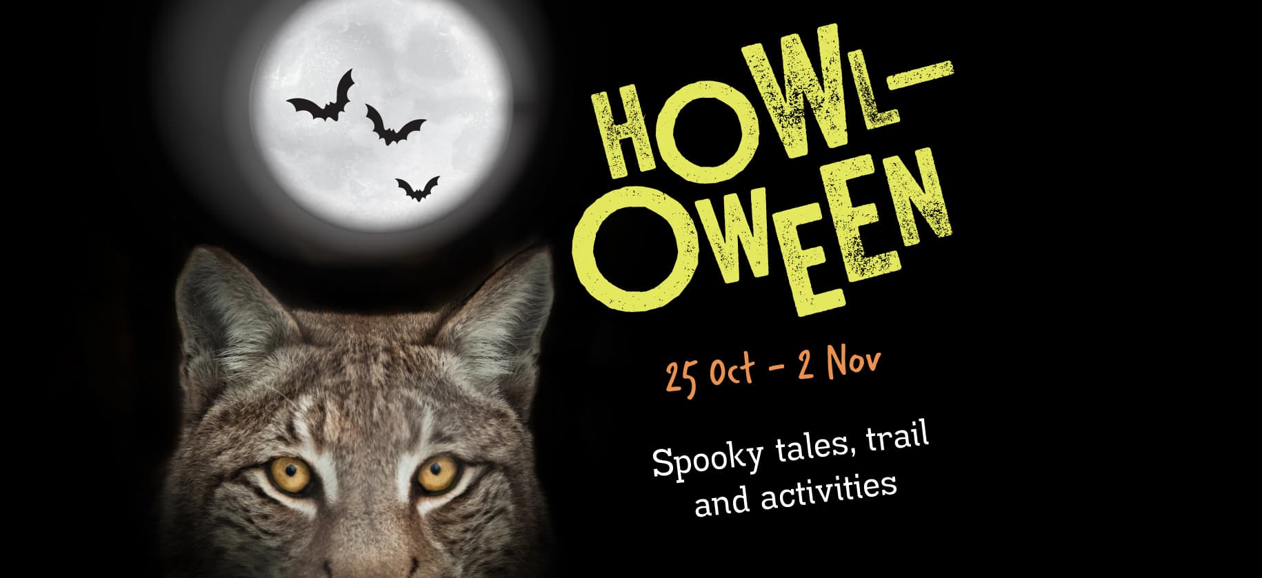 A lynx under a full moon with bats flying. Text reads "Howl-Oween, 25 Oct - 2 Nov, Spooky tales, trail and activities."
