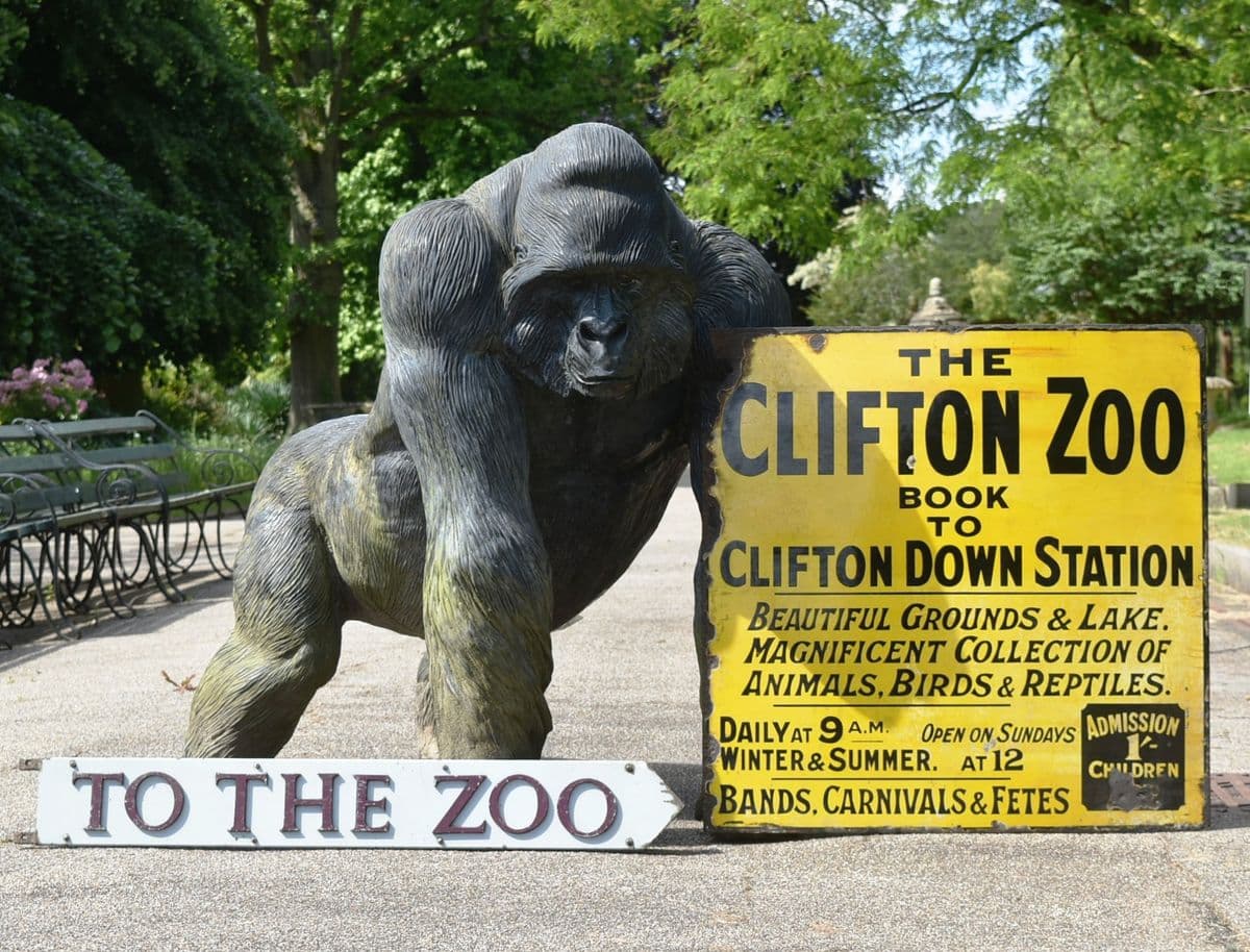 A large statue of a gorilla next to a sign for 'The Clifton Zoo'