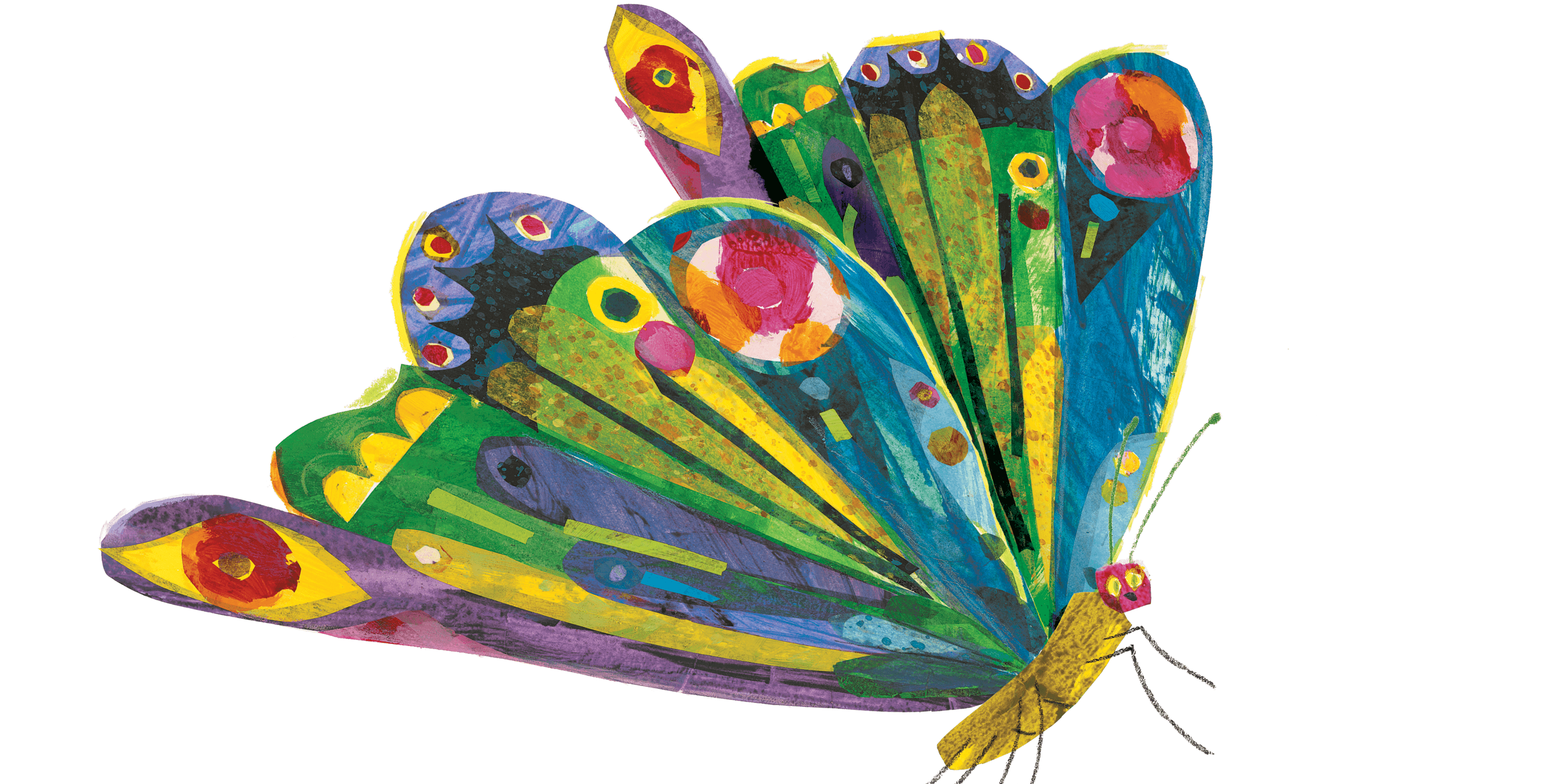 A colourful butterfly drawn in The Very Hungry Caterpillar style.